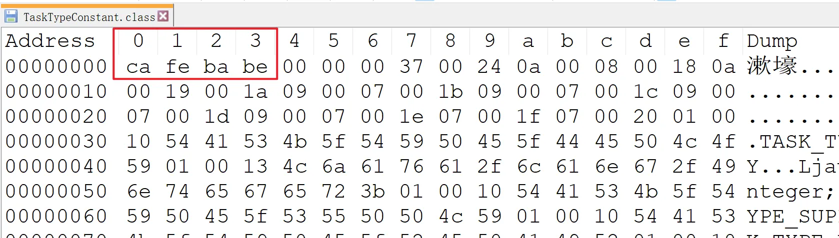 notepad++查看字节码文件